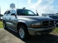 Bright Platinum Metallic - Durango SLT Photo No. 7