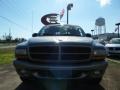 Bright Platinum Metallic - Durango SLT Photo No. 8