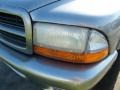 Bright Platinum Metallic - Durango SLT Photo No. 10