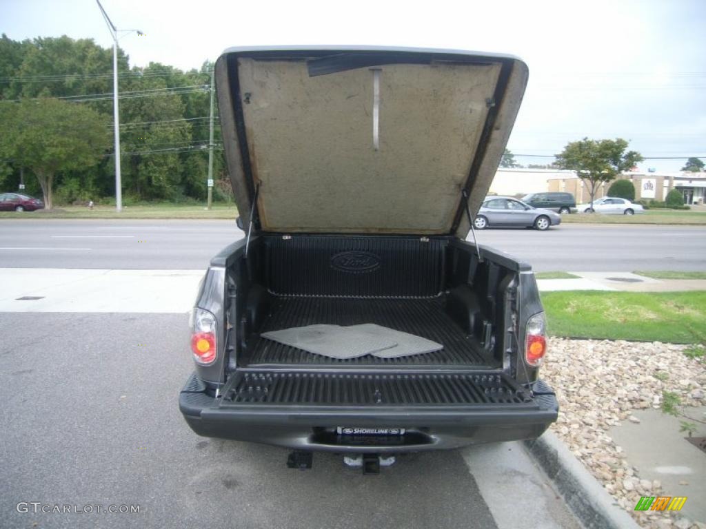 2004 F150 SVT Lightning - Dark Shadow Grey Metallic / SVT Black/Light Flint photo #6