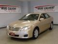 Sandy Beach Metallic - Camry LE Photo No. 1