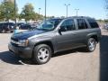 Graphite Metallic - TrailBlazer LS 4x4 Photo No. 2