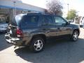 Graphite Metallic - TrailBlazer LS 4x4 Photo No. 6