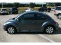 Platinum Grey - New Beetle S Coupe Photo No. 10