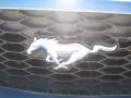  2008 Mustang GT Deluxe Coupe Logo