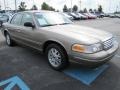 2004 Arizona Beige Metallic Ford Crown Victoria LX  photo #4