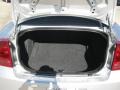 Bright Silver Metallic - Charger SXT Photo No. 20