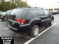 2010 Kalapana Black Mitsubishi Endeavor LS AWD  photo #3