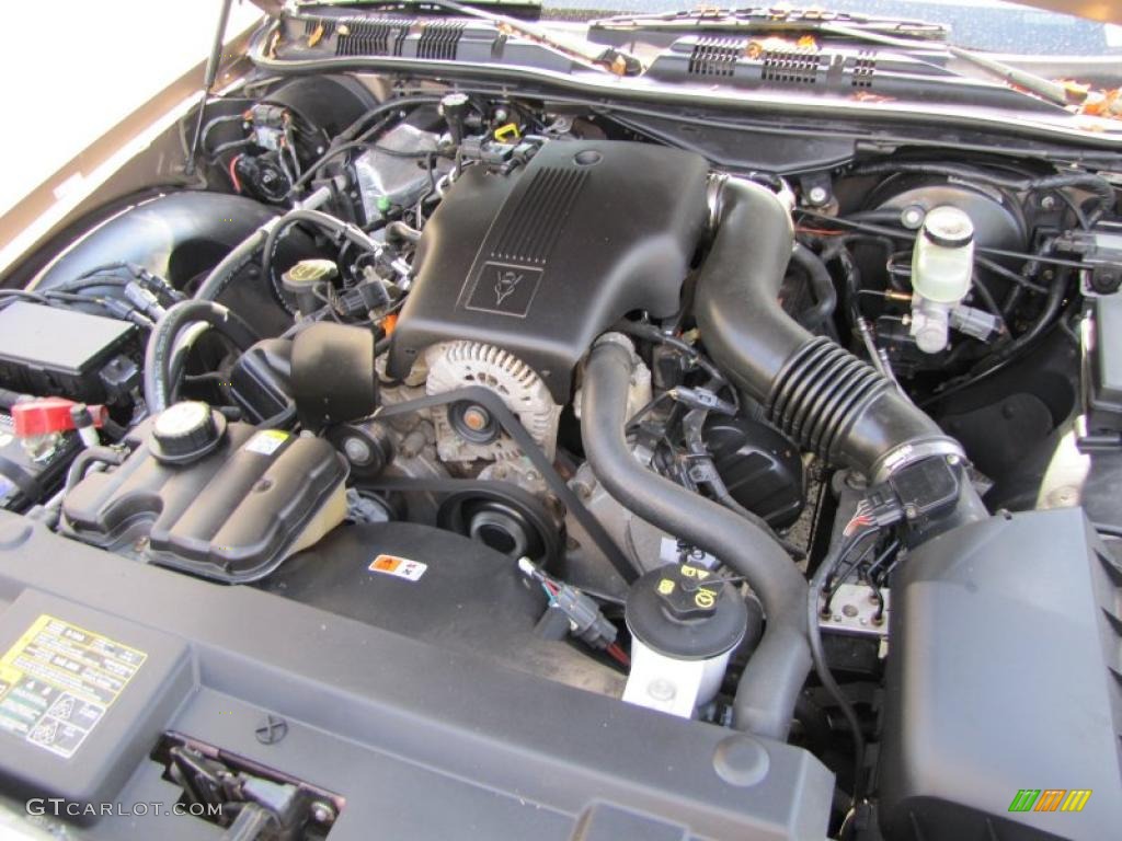 2004 Ford Crown Victoria LX 4.6 Liter SOHC 16-Valve V8 Engine Photo #38087899