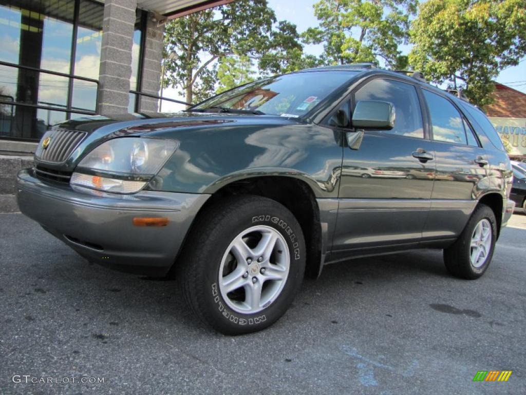 1999 RX 300 - Woodland Pearl / Ivory photo #1