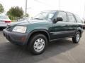 Clover Green Pearl - CR-V LX Photo No. 1