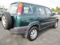 Clover Green Pearl - CR-V LX Photo No. 3