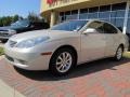 Millennium Silver Metallic - ES 330 Photo No. 1