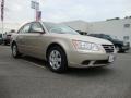 Camel Pearl - Sonata GLS Photo No. 1