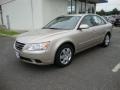 Camel Pearl - Sonata GLS Photo No. 3