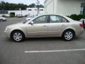 Camel Pearl - Sonata GLS Photo No. 4