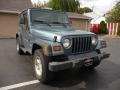 Gunmetal Pearlcoat - Wrangler SE 4x4 Photo No. 10