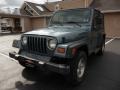 1999 Gunmetal Pearlcoat Jeep Wrangler SE 4x4  photo #11