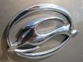 Amber Bronze Metallic - Impala LS Photo No. 8