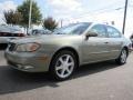 Millenium Jade Metallic - I 35 Photo No. 1