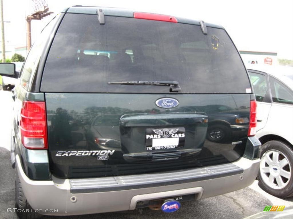 2003 Expedition XLT 4x4 - Aspen Green Metallic / Medium Parchment photo #2