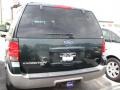 2003 Aspen Green Metallic Ford Expedition XLT 4x4  photo #2