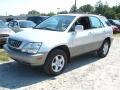 Millenium Silver Metallic - RX 300 Photo No. 1