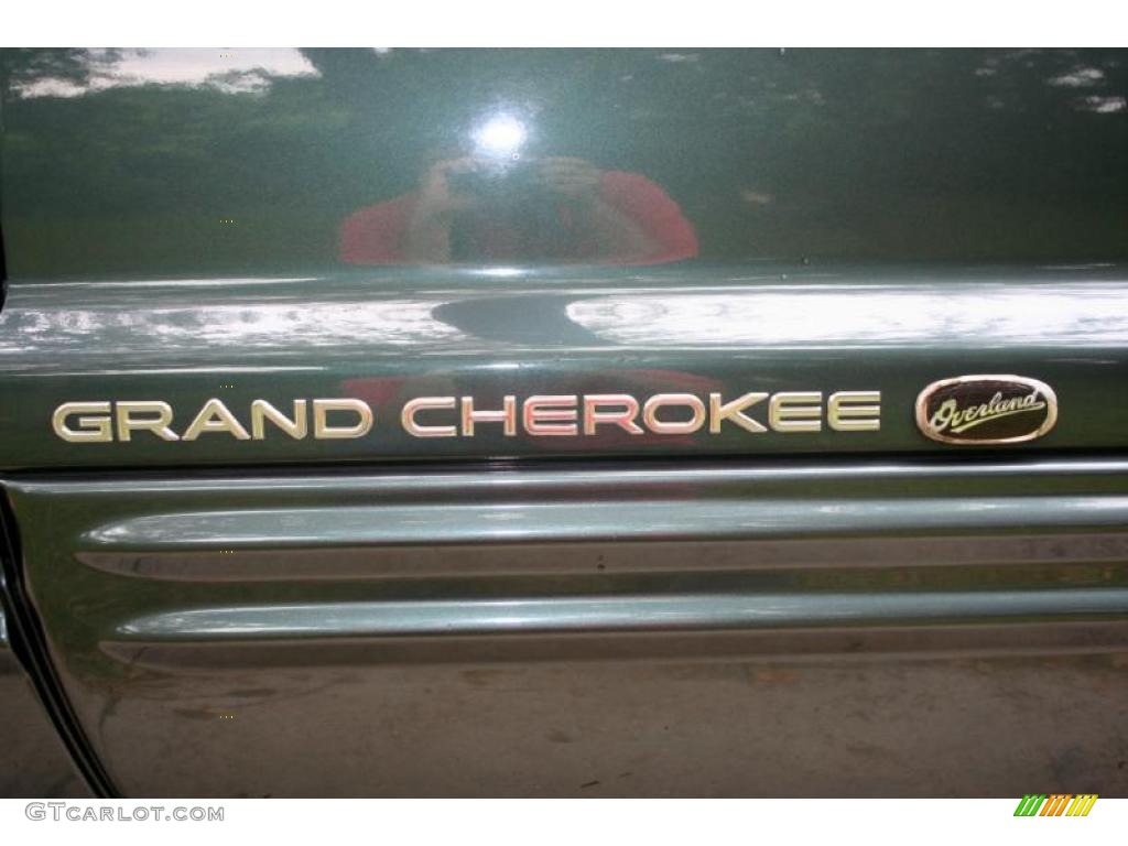 2002 Grand Cherokee Overland 4x4 - Onyx Green Pearlcoat / Dark Slate Gray/Light Slate Gray photo #61