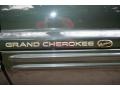 2002 Onyx Green Pearlcoat Jeep Grand Cherokee Overland 4x4  photo #61