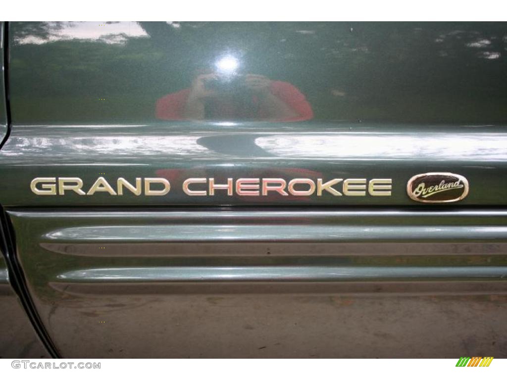 2002 Grand Cherokee Overland 4x4 - Onyx Green Pearlcoat / Dark Slate Gray/Light Slate Gray photo #62