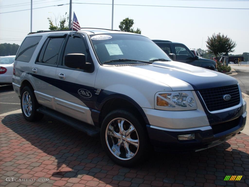 2003 Expedition XLT 4x4 - Silver Birch Metallic / Flint Grey photo #3
