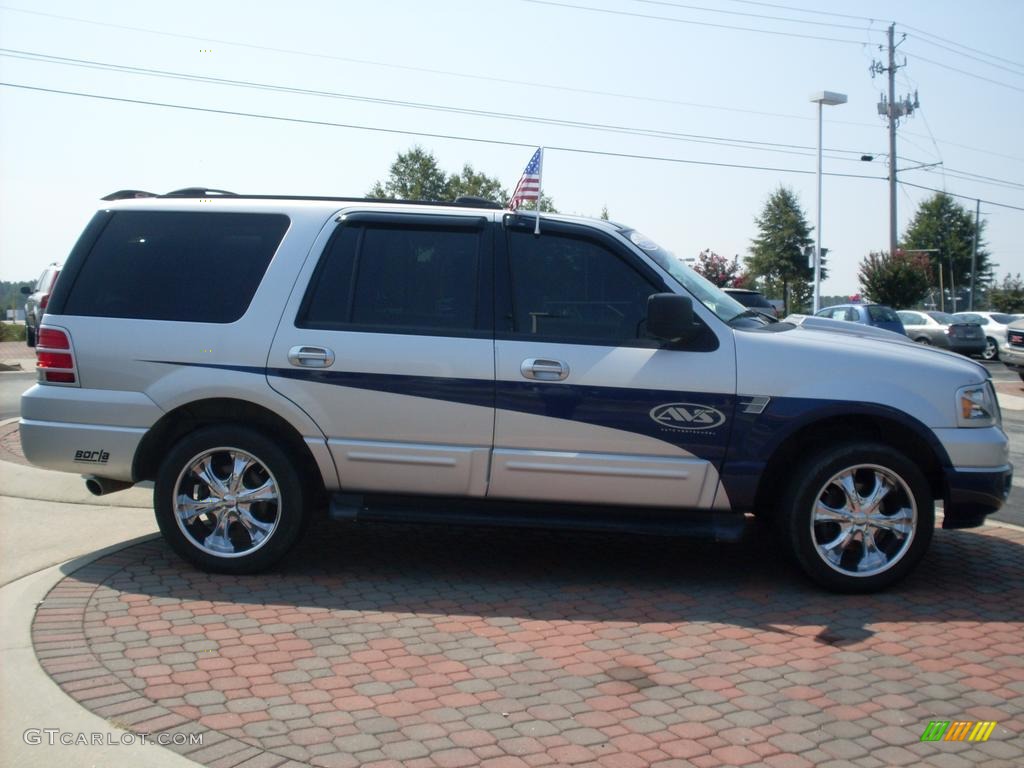 2003 Expedition XLT 4x4 - Silver Birch Metallic / Flint Grey photo #4