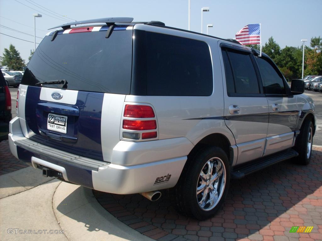 2003 Expedition XLT 4x4 - Silver Birch Metallic / Flint Grey photo #7