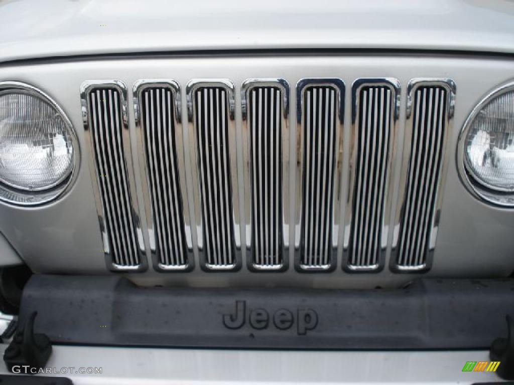 2004 Wrangler Rubicon 4x4 - Bright Silver Metallic / Dark Slate Gray photo #29