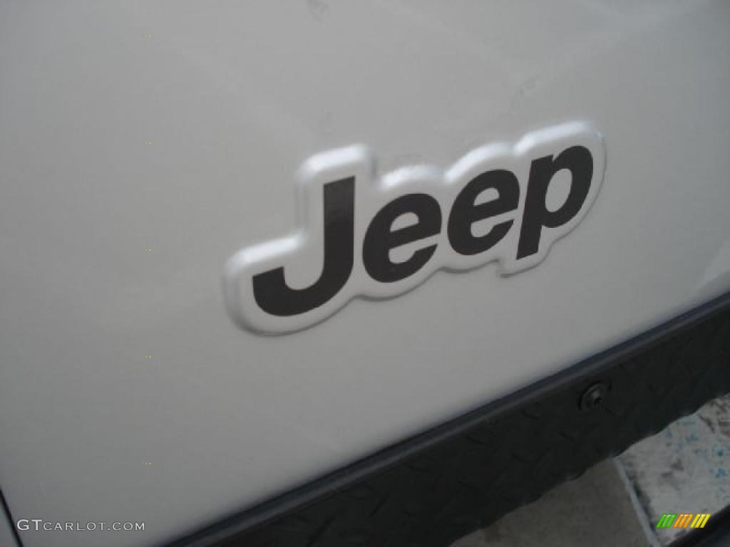 2004 Wrangler Rubicon 4x4 - Bright Silver Metallic / Dark Slate Gray photo #30