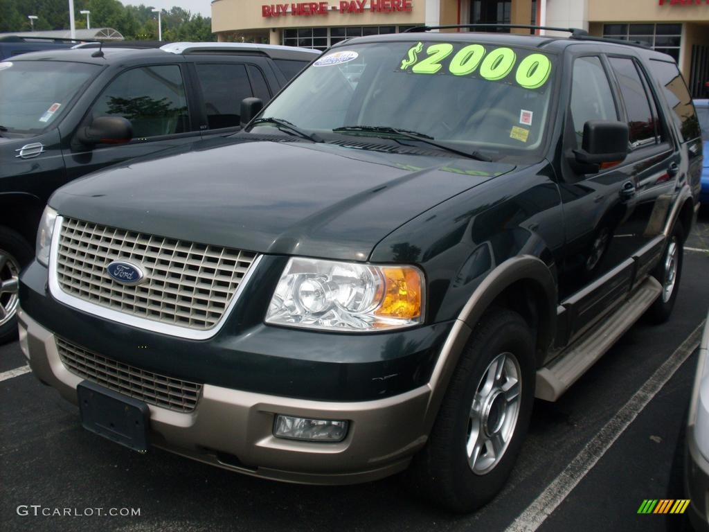Aspen Green Metallic Ford Expedition