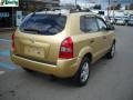 2005 Golden Sand Hyundai Tucson GL  photo #3