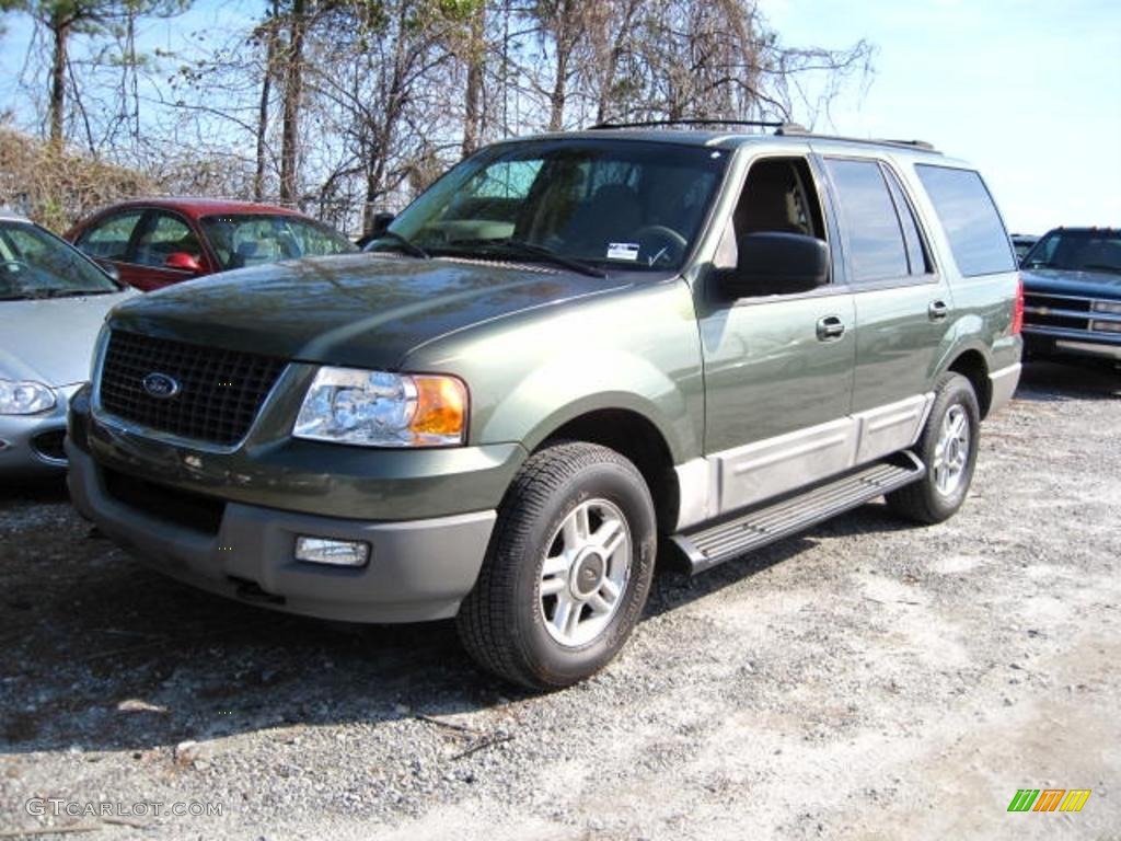 2003 Expedition XLT 4x4 - Estate Green Metallic / Medium Parchment photo #1