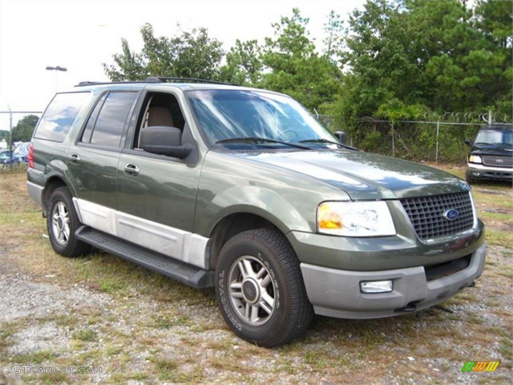 2003 Expedition XLT 4x4 - Estate Green Metallic / Medium Parchment photo #2