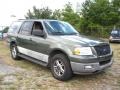 2003 Estate Green Metallic Ford Expedition XLT 4x4  photo #2