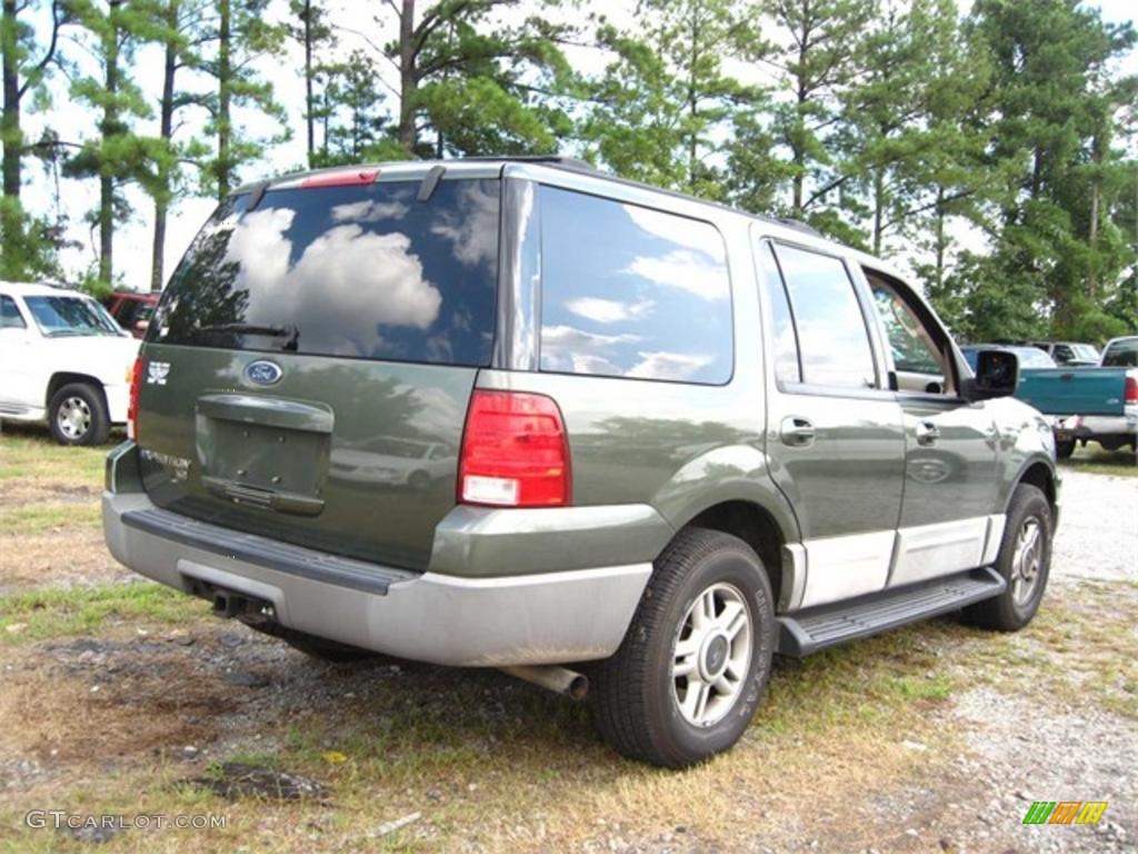 2003 Expedition XLT 4x4 - Estate Green Metallic / Medium Parchment photo #3
