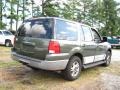 2003 Estate Green Metallic Ford Expedition XLT 4x4  photo #3