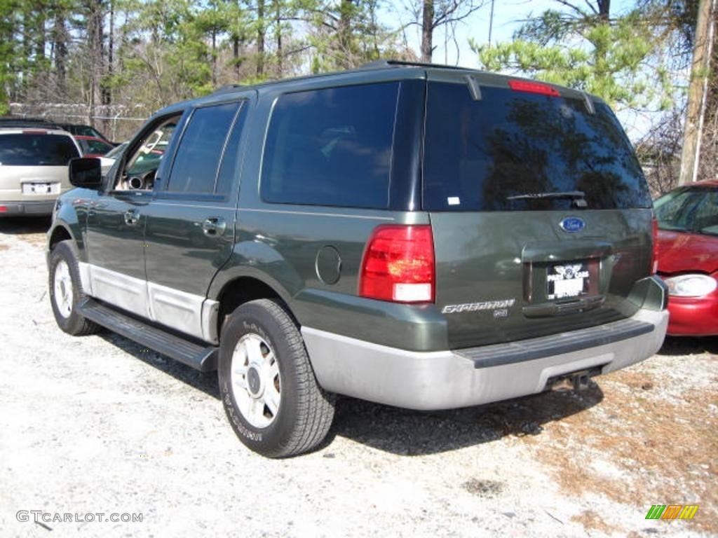 2003 Expedition XLT 4x4 - Estate Green Metallic / Medium Parchment photo #4