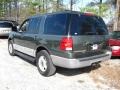 2003 Estate Green Metallic Ford Expedition XLT 4x4  photo #4