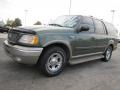 2001 Estate Green Metallic Ford Expedition Eddie Bauer  photo #1