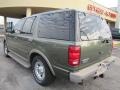 2001 Estate Green Metallic Ford Expedition Eddie Bauer  photo #2
