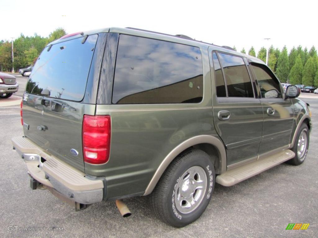 2001 Expedition Eddie Bauer - Estate Green Metallic / Medium Parchment photo #3