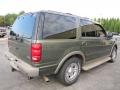 2001 Estate Green Metallic Ford Expedition Eddie Bauer  photo #3