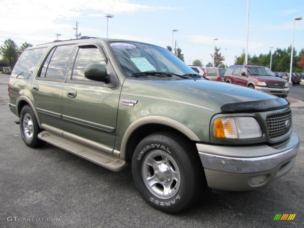 2001 Expedition Eddie Bauer - Estate Green Metallic / Medium Parchment photo #4