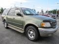 2001 Estate Green Metallic Ford Expedition Eddie Bauer  photo #4